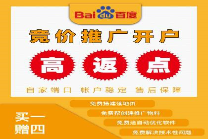 SEM推广技巧：成功案例深度剖析